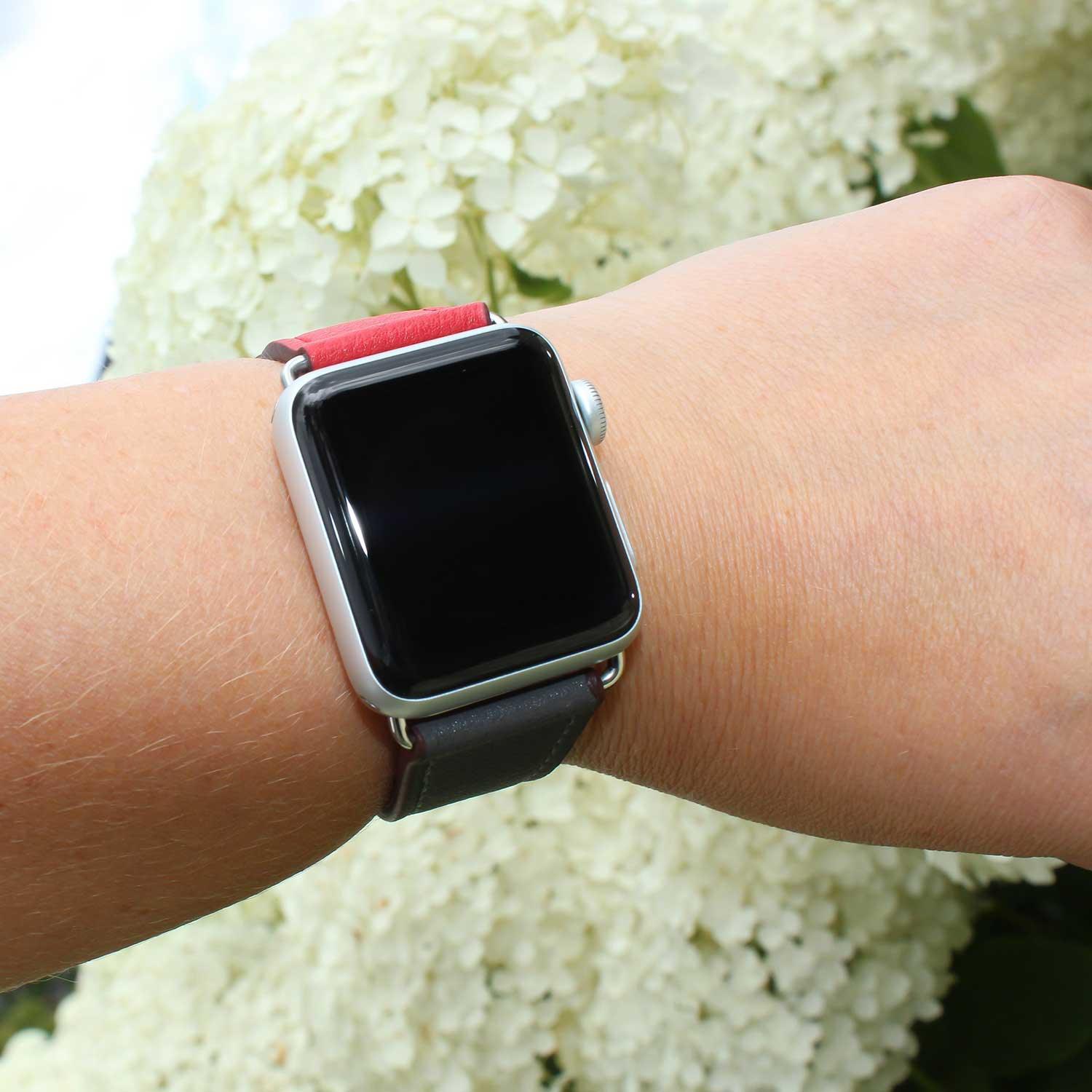 Apple Watch Armband – Leder – Sing Tour