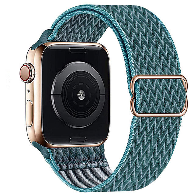 Apple Watch Nylon Solo Loop - Tannengrün